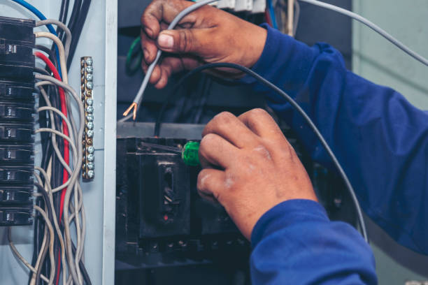 Best Licensed Electrician  in Eerlin, ND